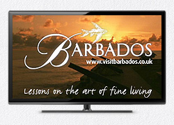 TV Advertising
